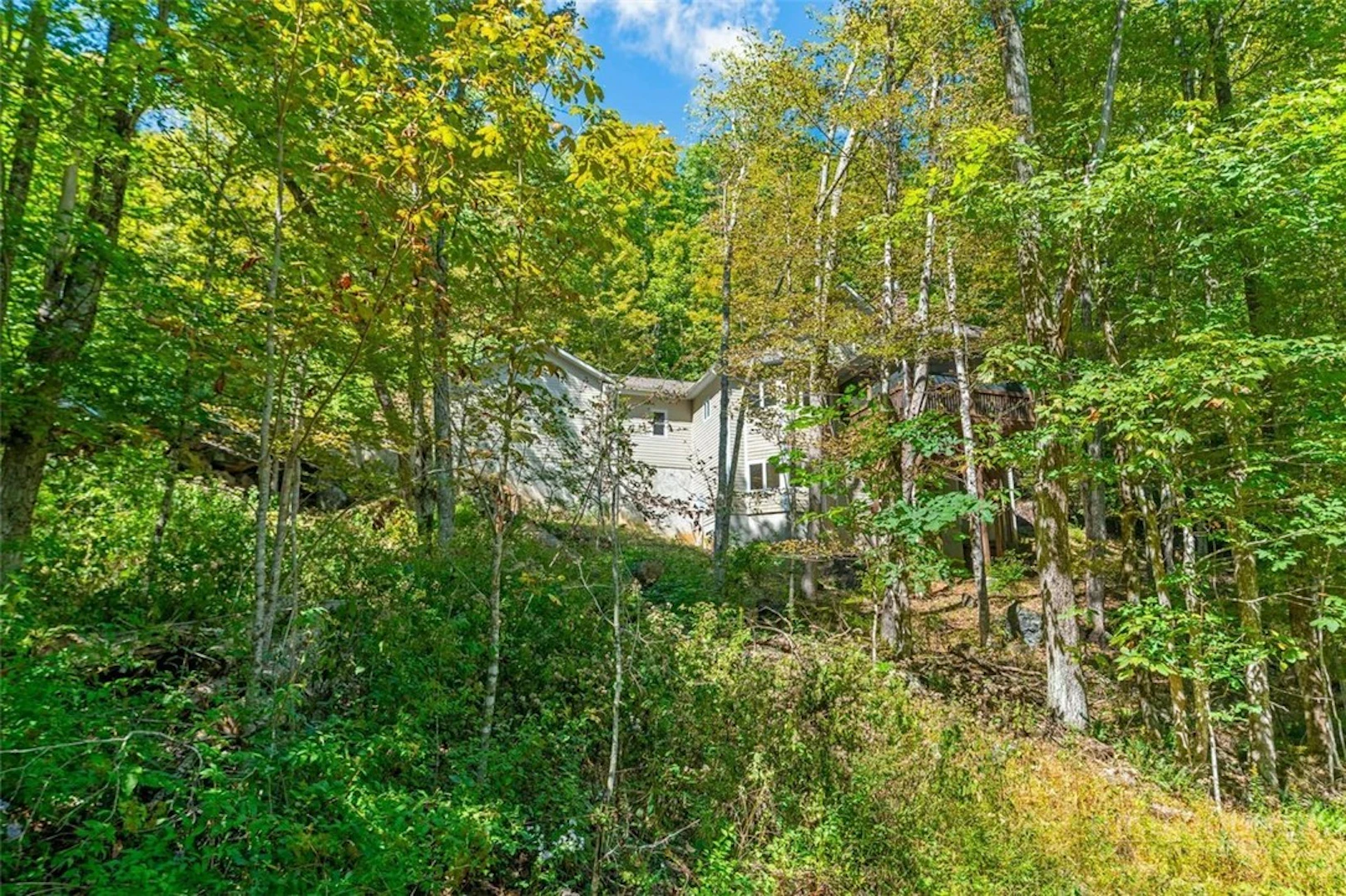 Image number 1 for the current listing