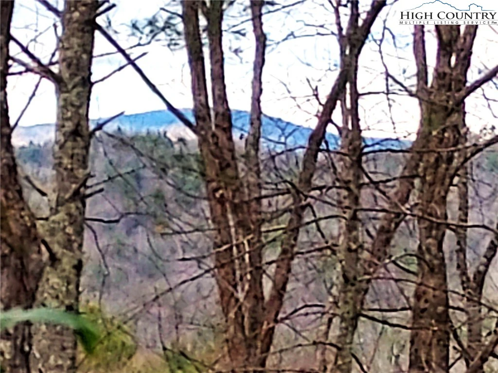 Image number 1 for the current listing