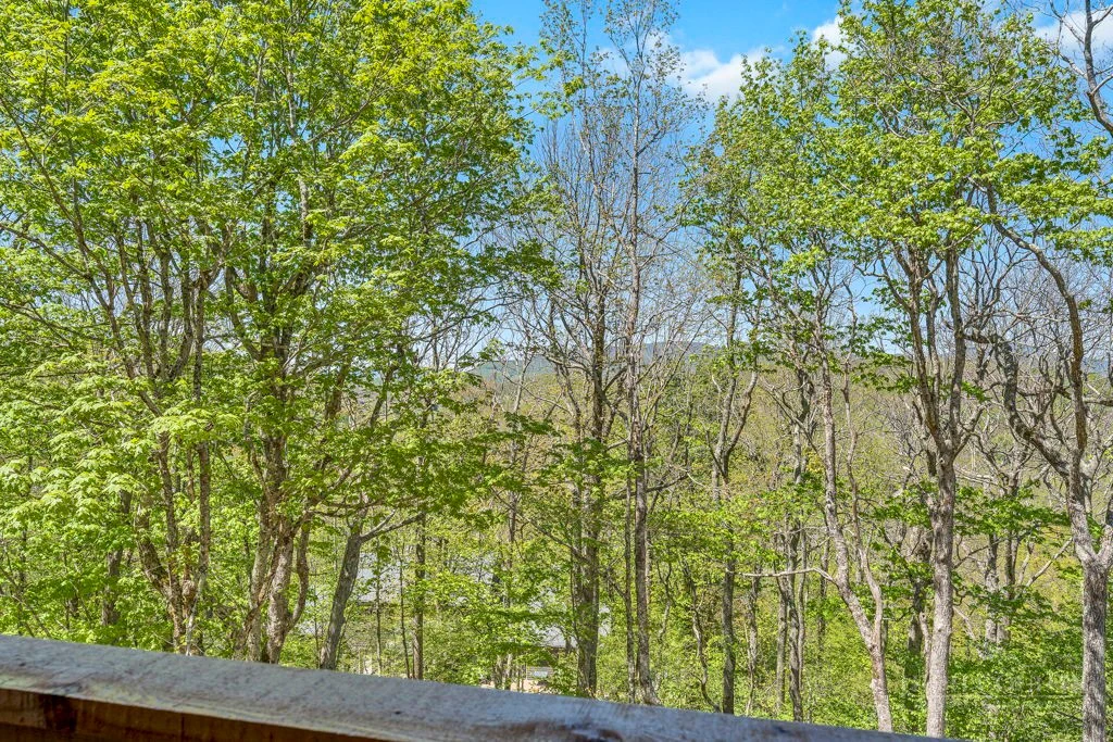 Image number 13 for the current listing
