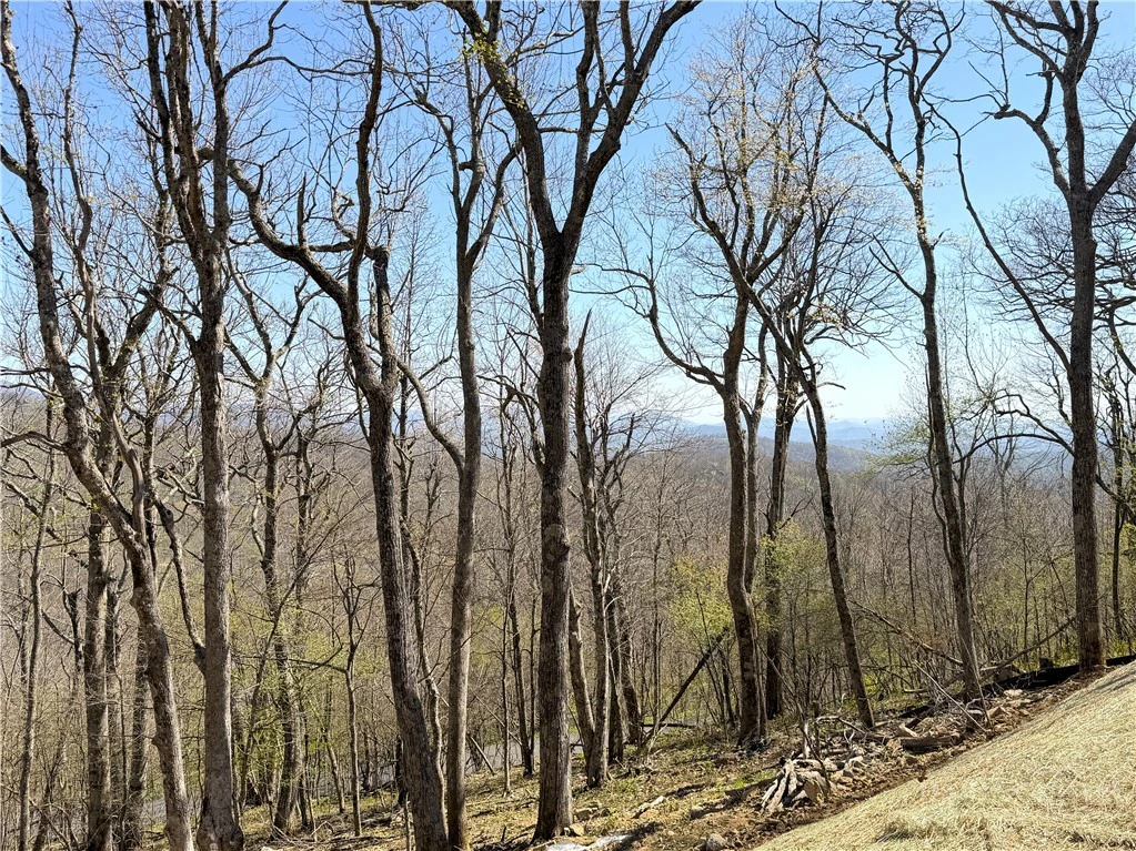 Image number 14 for the current listing