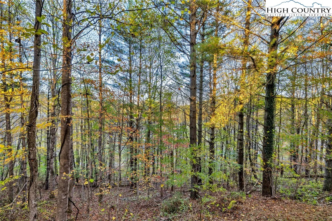 Image number 19 for the current listing
