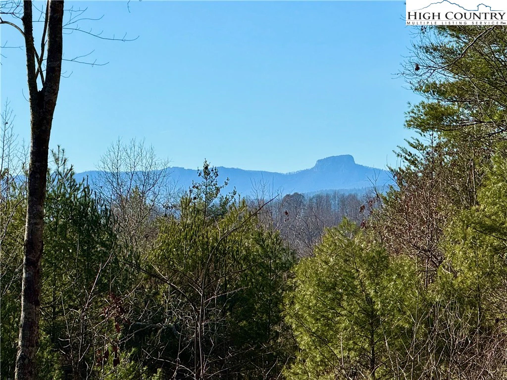 Image number 1 for the current listing