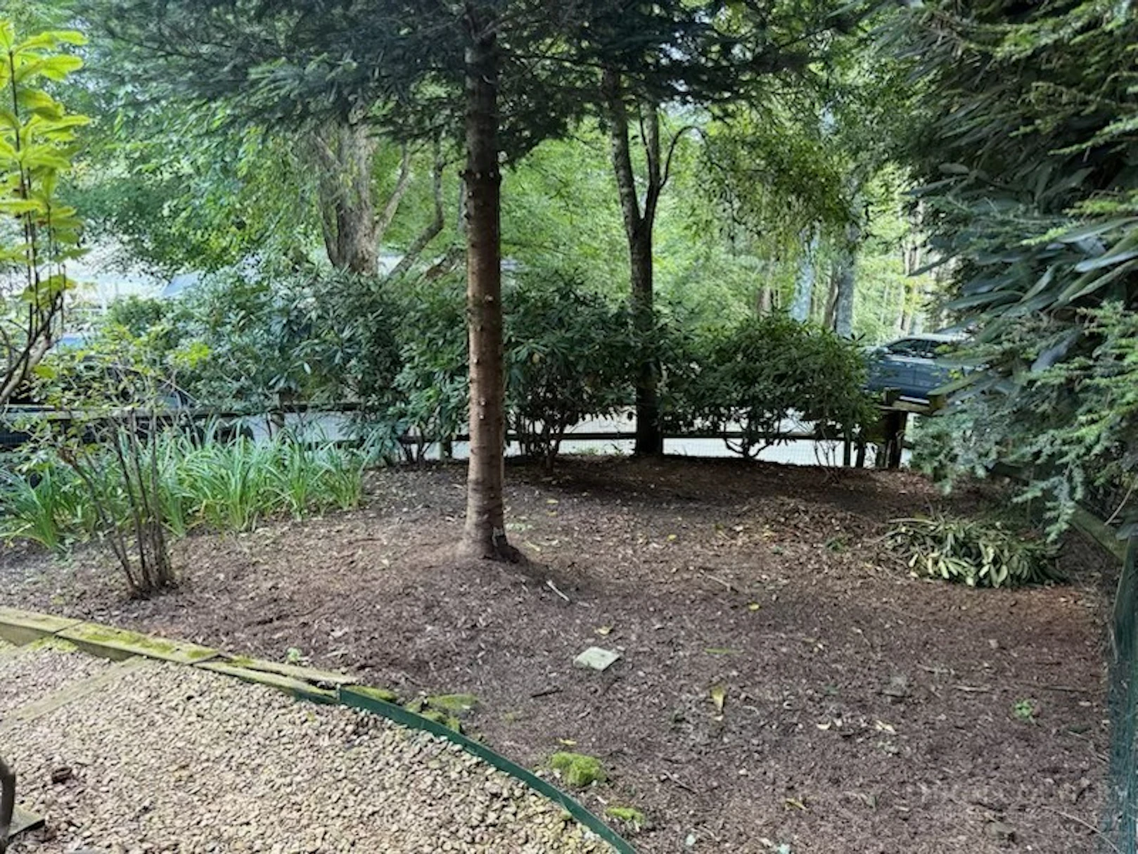 Image number 12 for the current listing