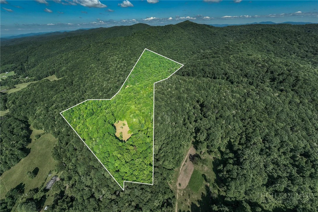 Image number 2 for the current listing