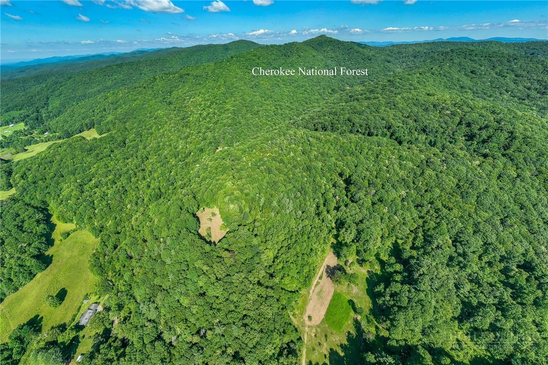 Image number 3 for the current listing