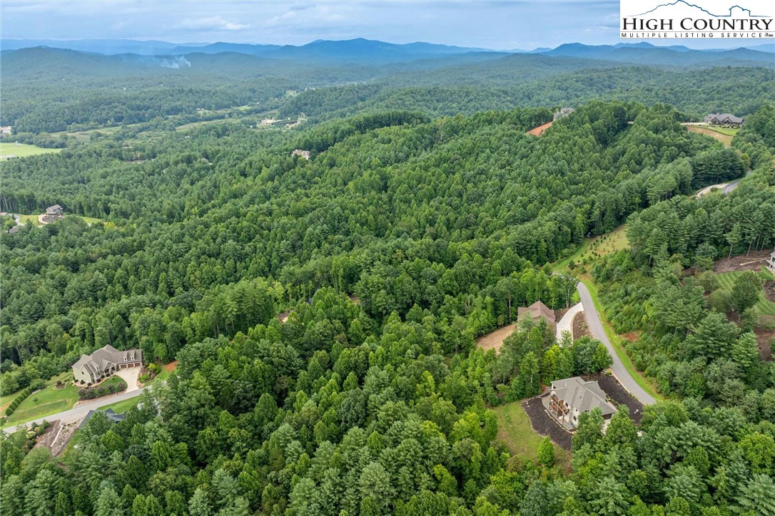 Image number 2 for the current listing
