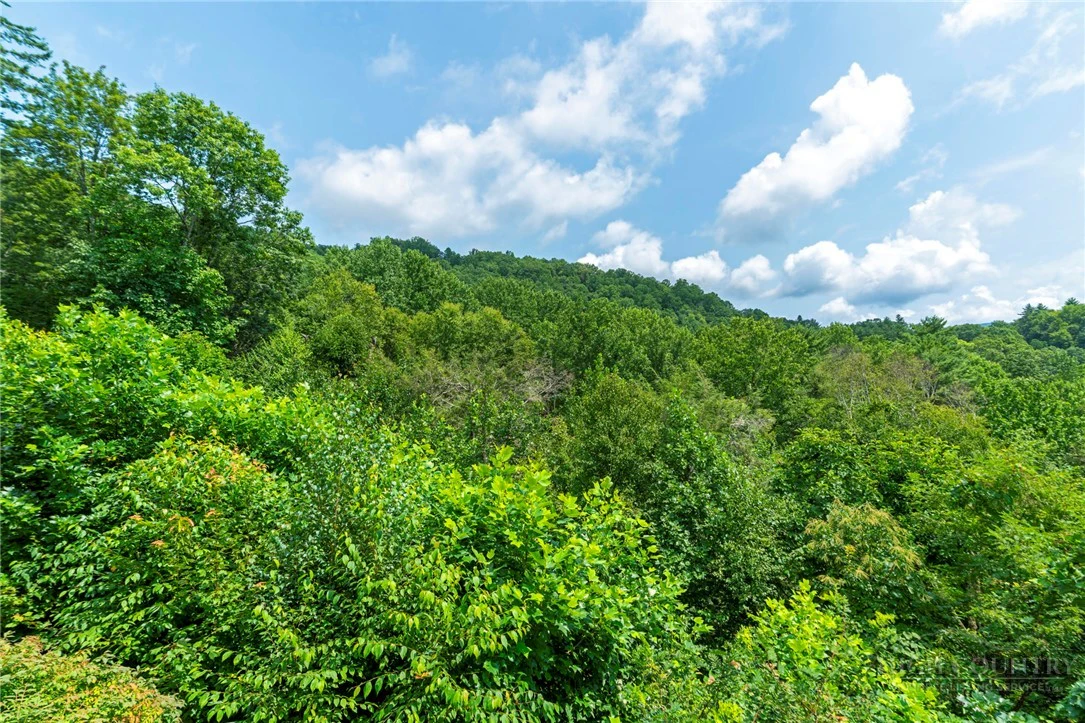 Image number 17 for the current listing