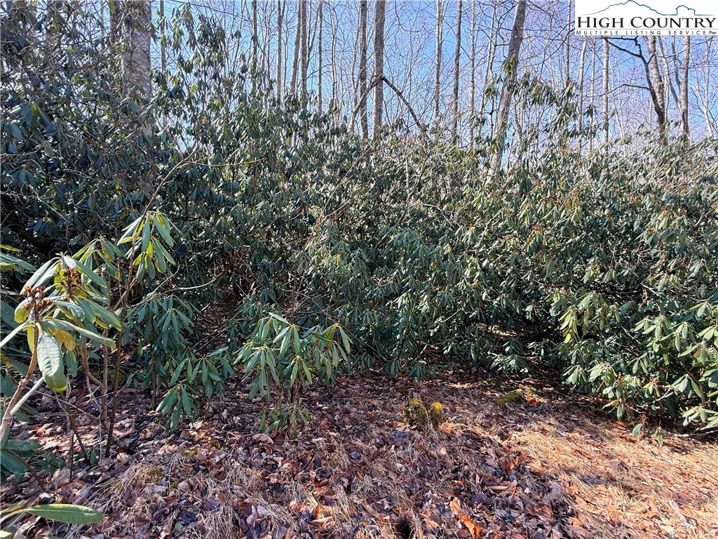 Image number 4 for the current listing