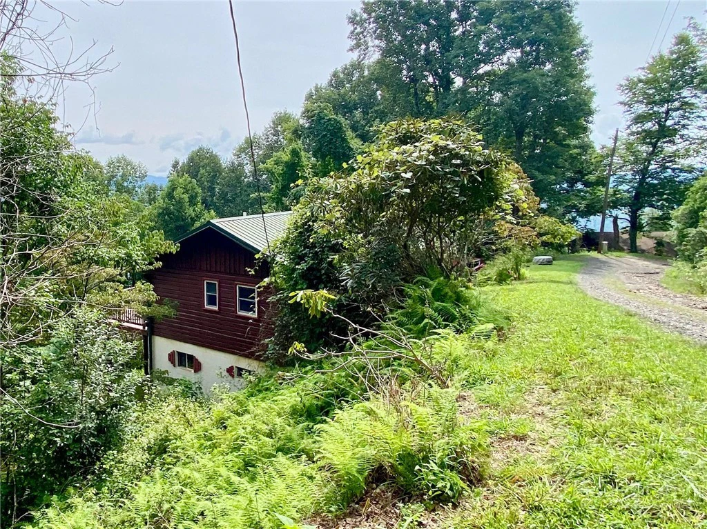 Image number 4 for the current listing