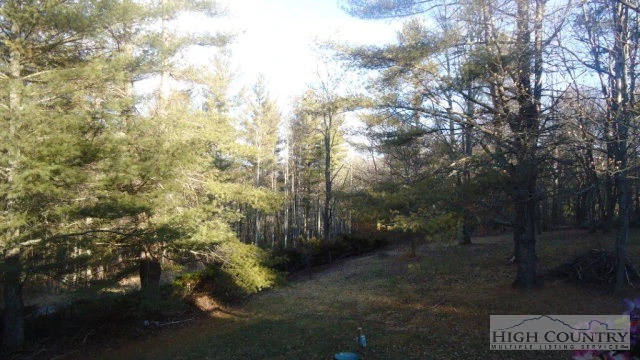 Image number 15 for the current listing