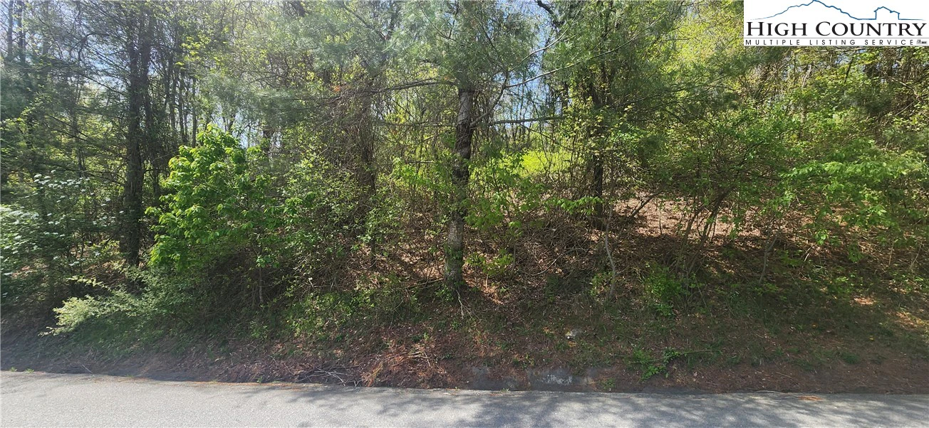 Image number 1 for the current listing
