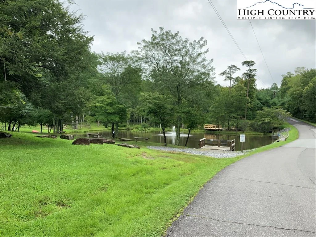 Image number 5 for the current listing
