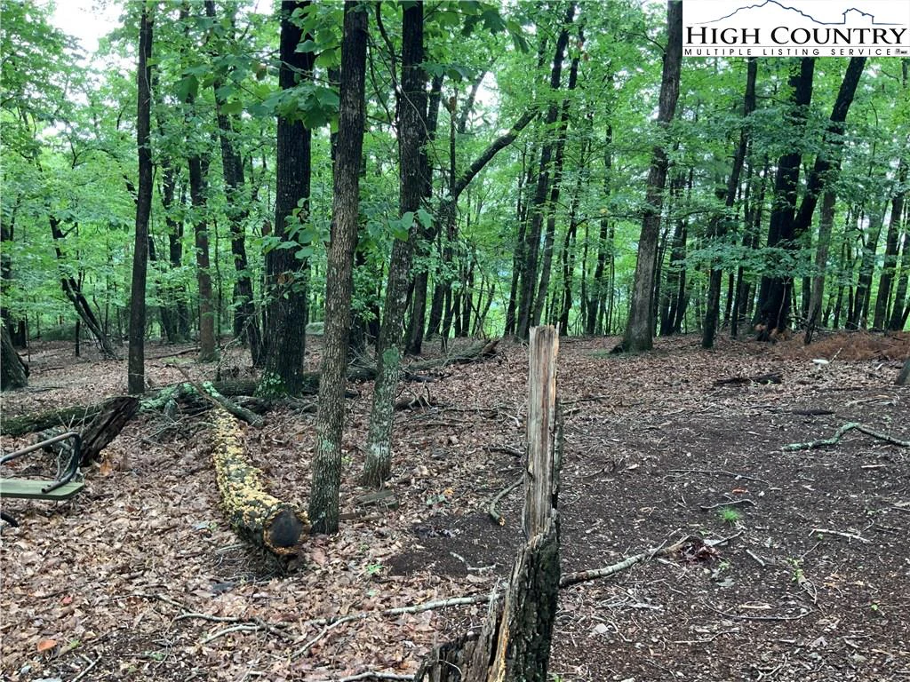 Image number 20 for the current listing