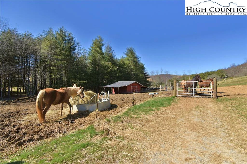 Image number 8 for the current listing