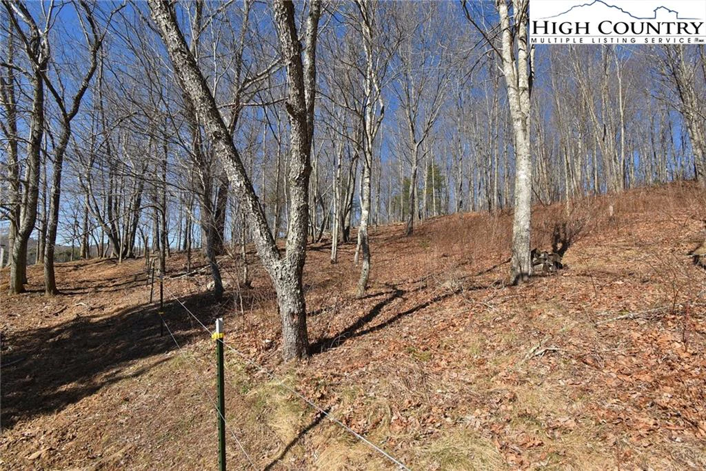 Image number 14 for the current listing