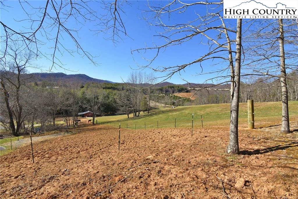 Image number 16 for the current listing