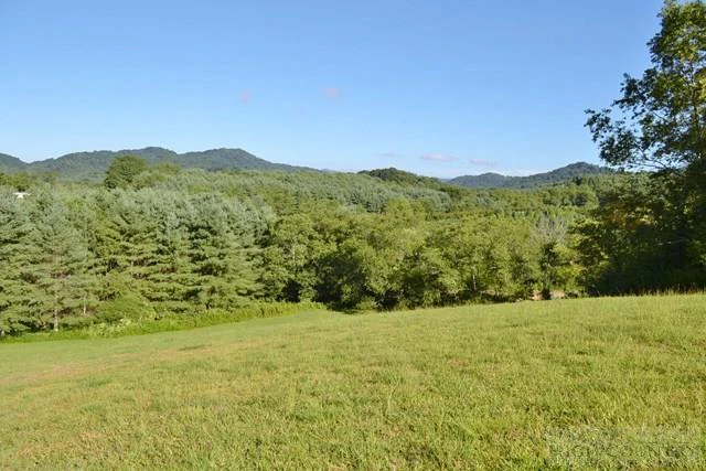 Image number 4 for the current listing