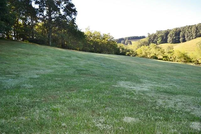 Image number 7 for the current listing
