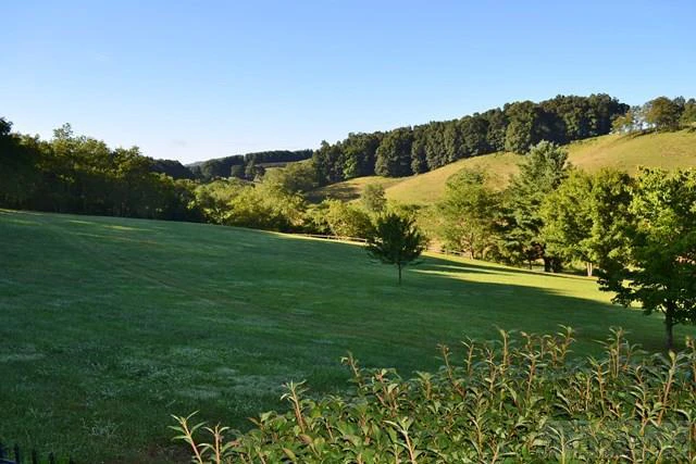 Image number 13 for the current listing