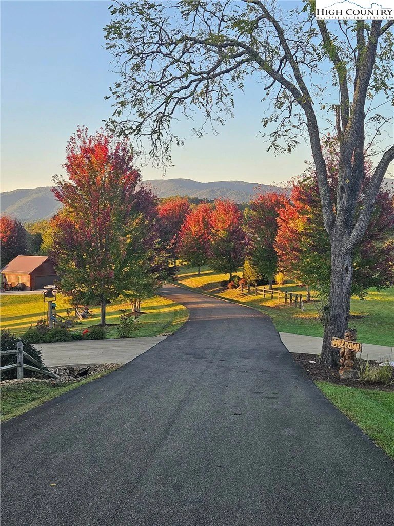 Image number 7 for the current listing