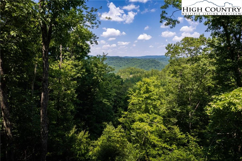 Image number 1 for the current listing