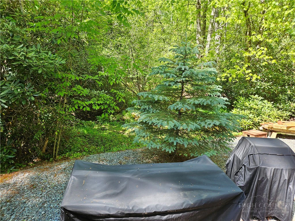 Image number 3 for the current listing