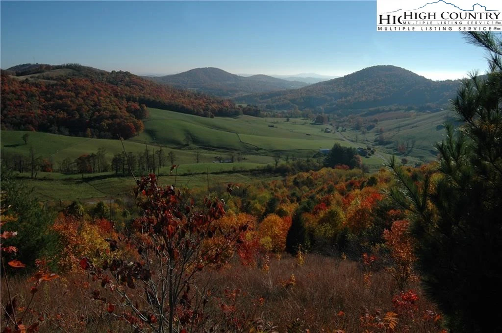 Image number 5 for the current listing