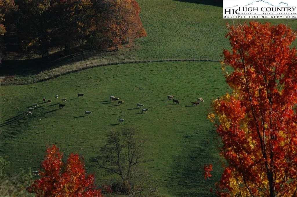 Image number 8 for the current listing