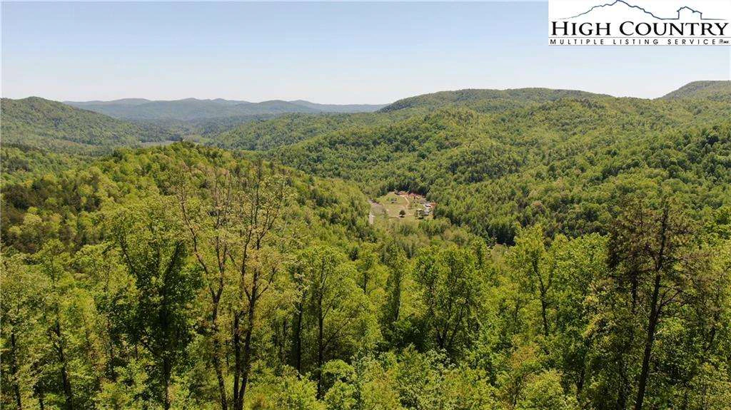 Image number 2 for the current listing