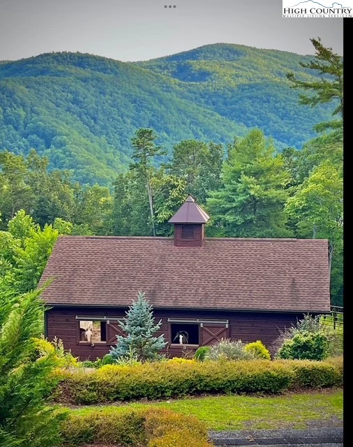 Image number 8 for the current listing