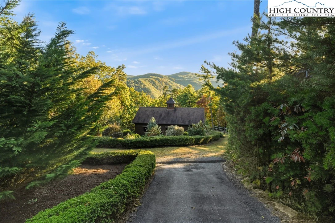 Image number 12 for the current listing