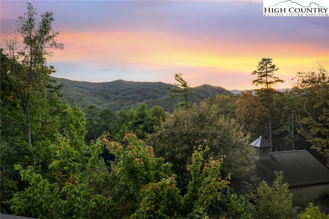 Image number 13 for the current listing