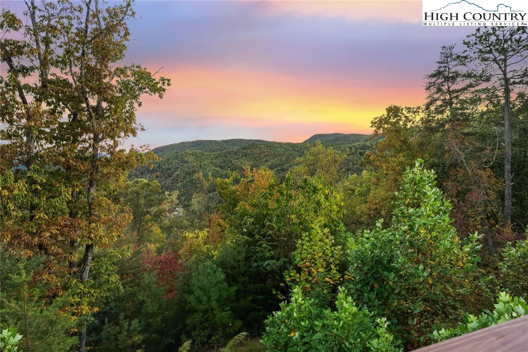 Image number 15 for the current listing