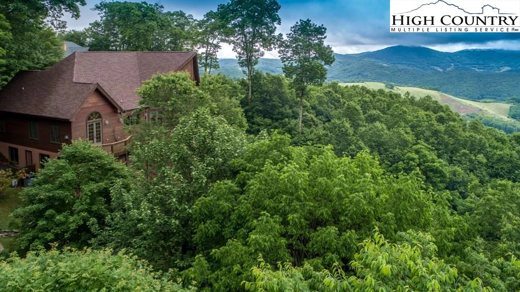 Image number 5 for the current listing