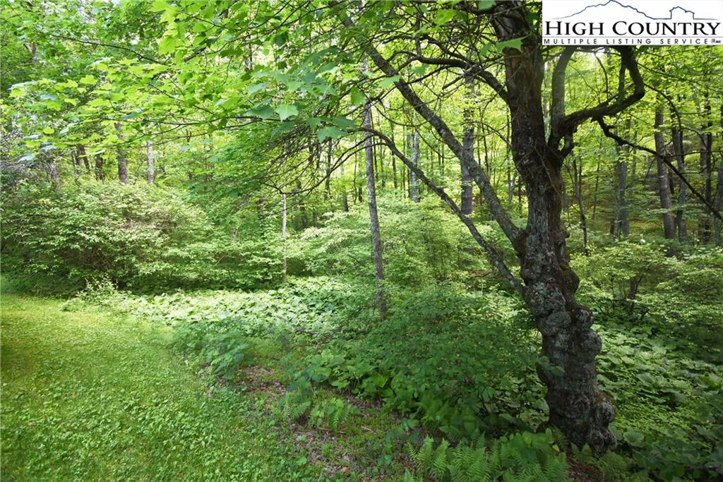 Image number 6 for the current listing