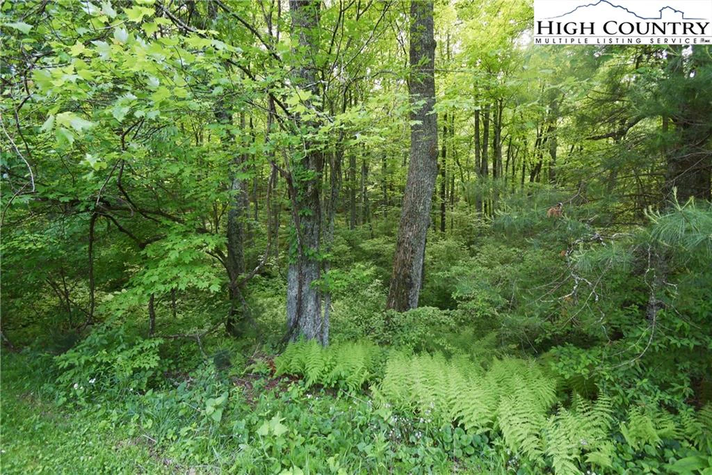 Image number 4 for the current listing