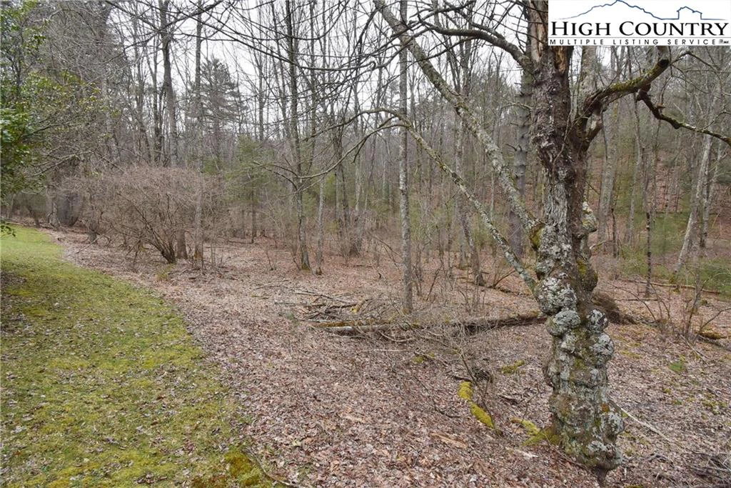 Image number 3 for the current listing