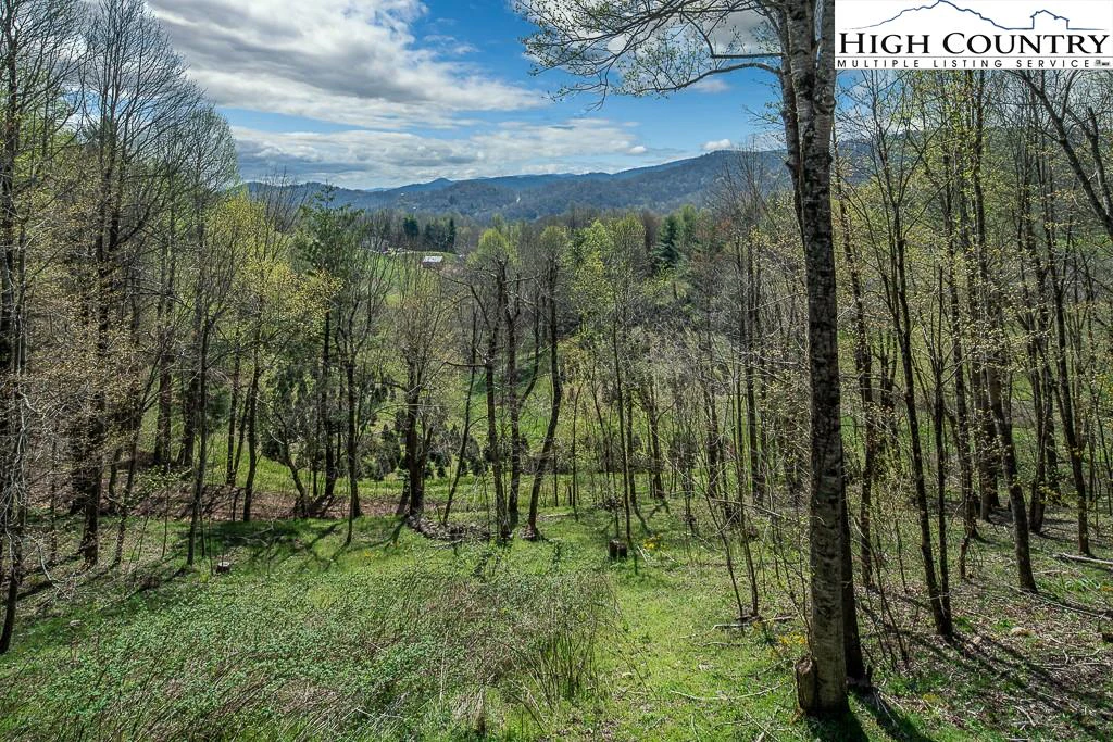 Image number 1 for the current listing