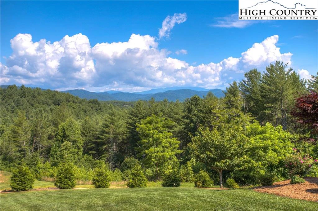 Image number 6 for the current listing