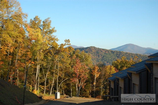 Image number 6 for the current listing