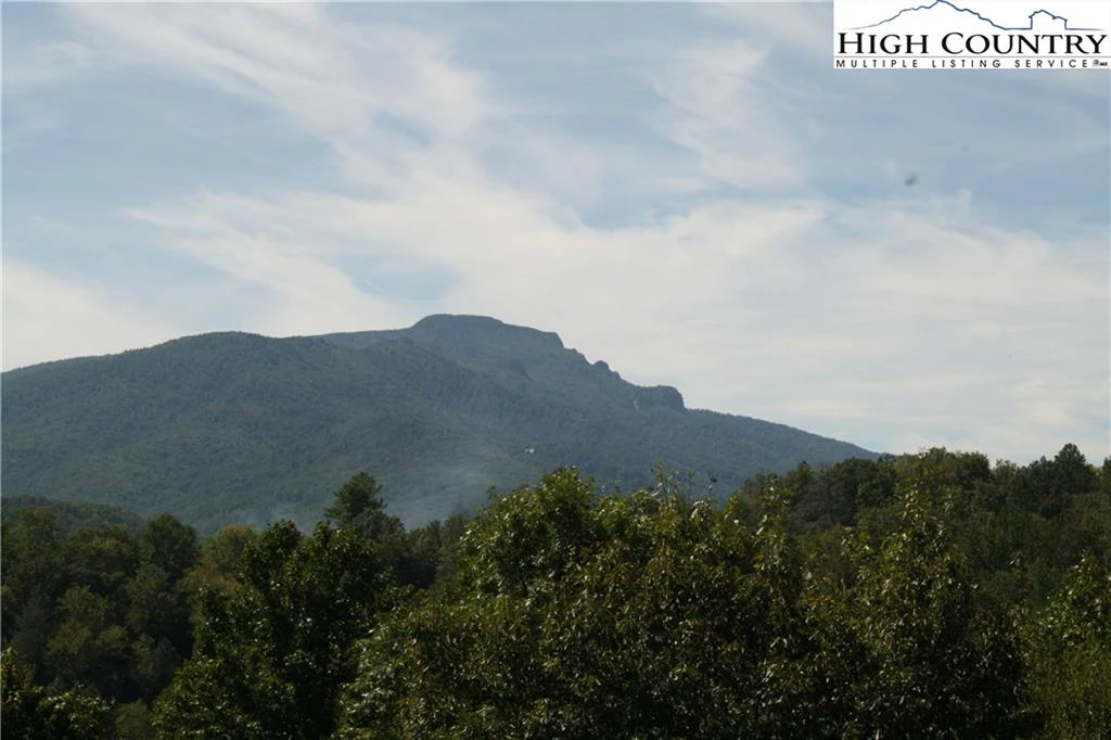 Image number 4 for the current listing