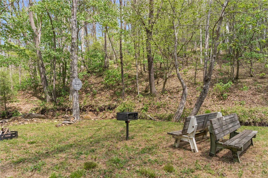 Image number 11 for the current listing