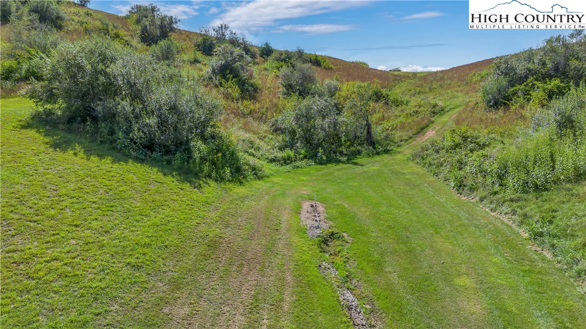 Image number 11 for the current listing