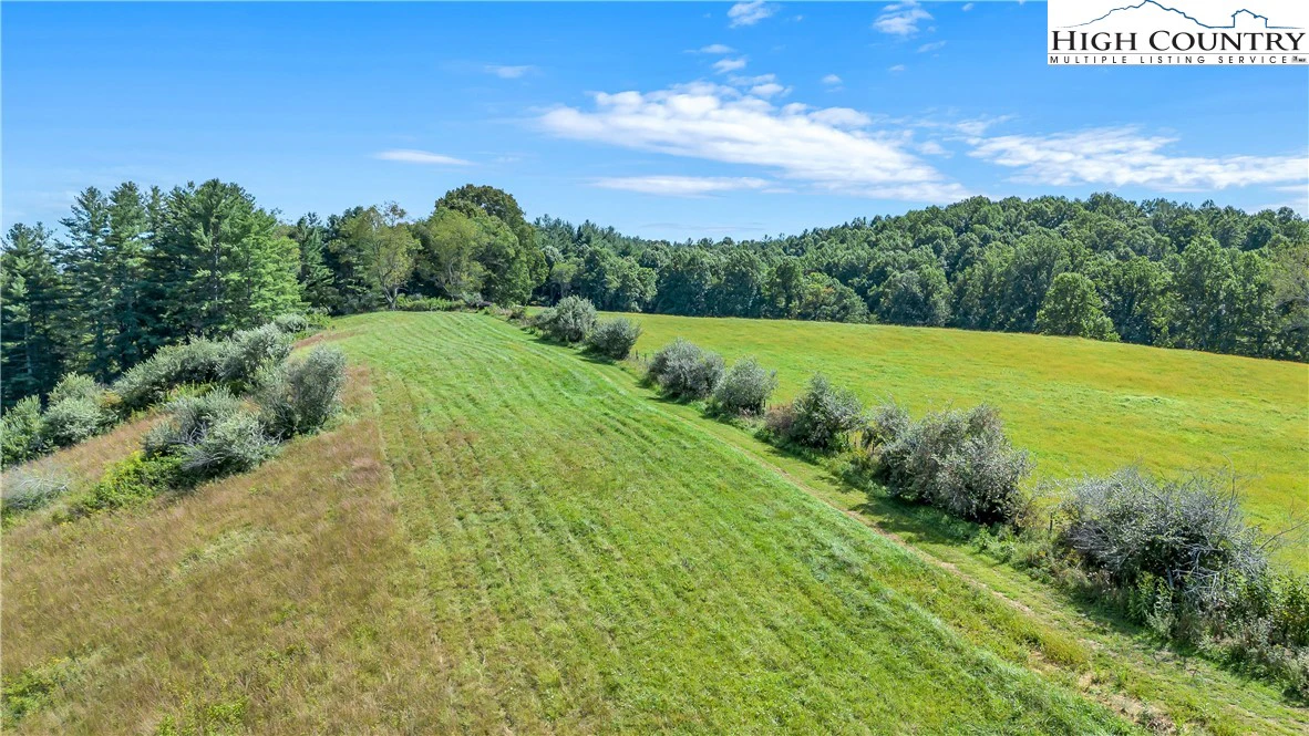 Image number 15 for the current listing