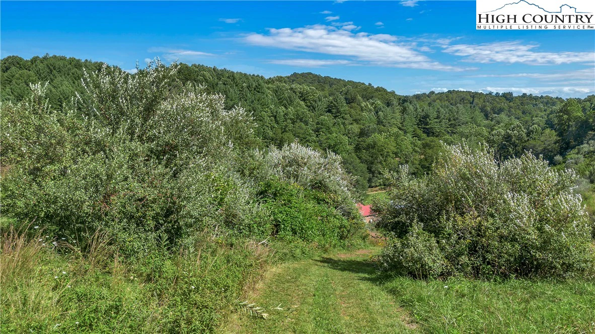 Image number 21 for the current listing