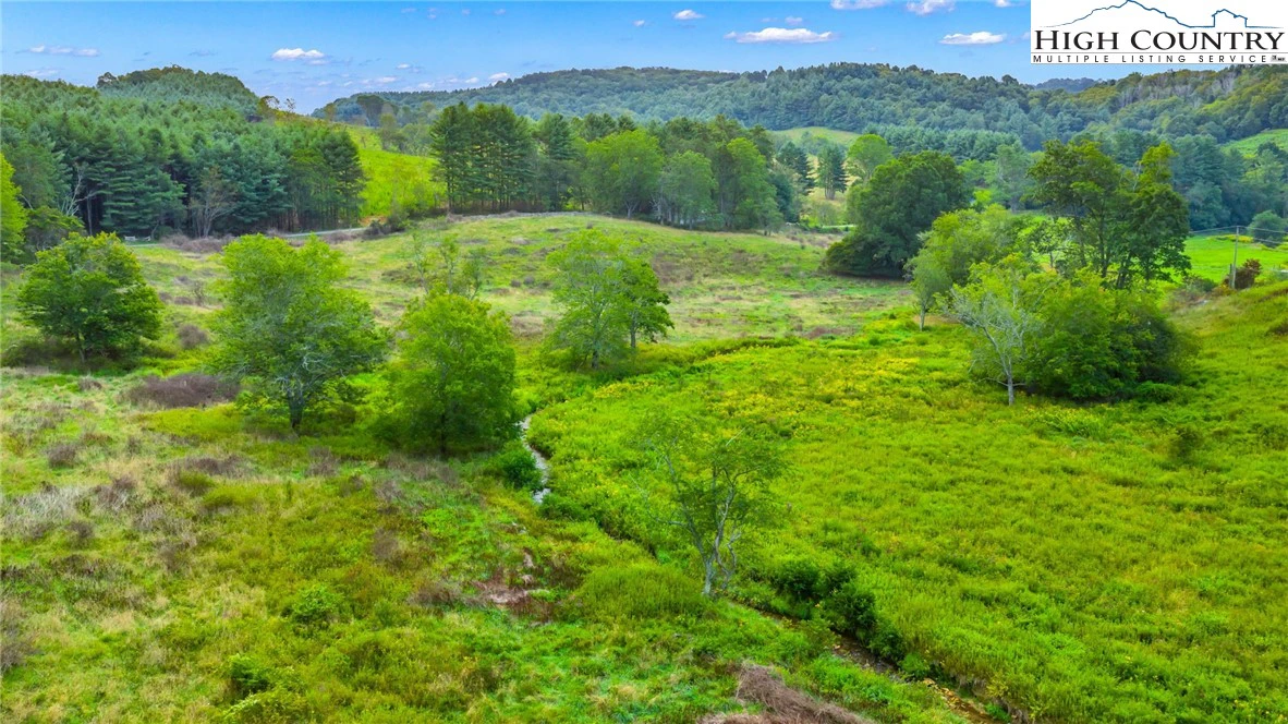 Image number 11 for the current listing