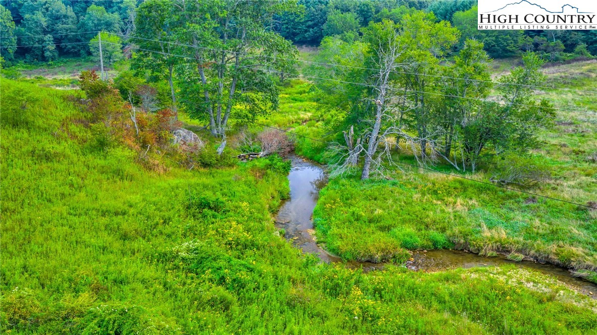 Image number 4 for the current listing