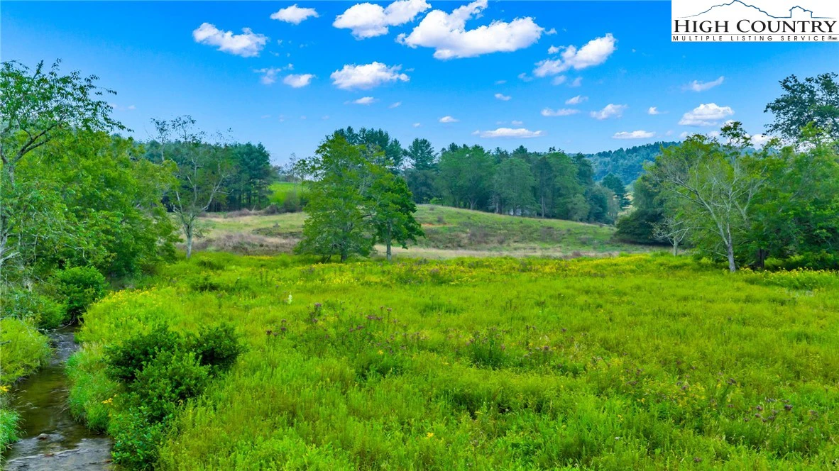 Image number 5 for the current listing