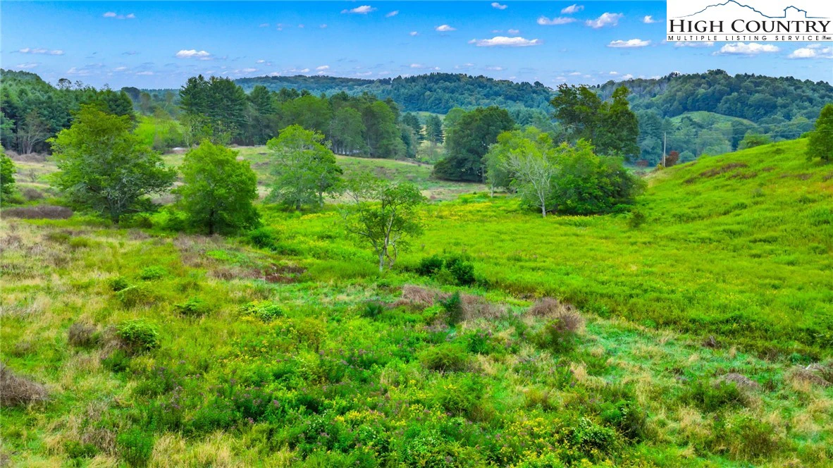 Image number 7 for the current listing