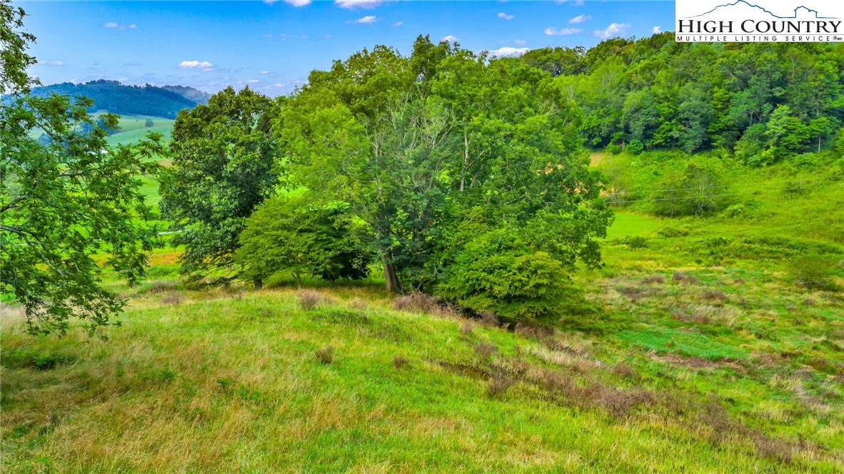 Image number 9 for the current listing